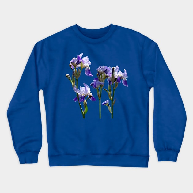 Irises - Group of Purple Irises Crewneck Sweatshirt by SusanSavad